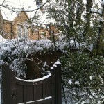 Oxford Winter 7