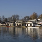 Torpids 2011 40