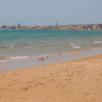 ICVSS ’11 in Sicily 8