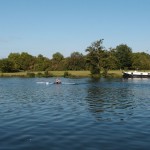 Henley Town & Visitors’ Regatta 12