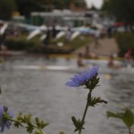 Oxford City Royal Regatta 6