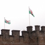 Cardiff Christmas Market and Castle 11