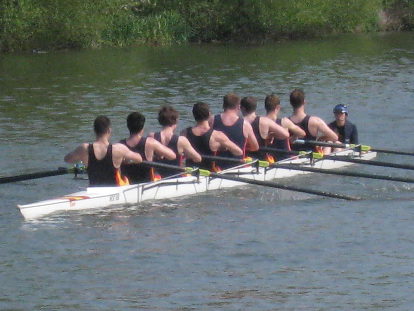Eights 2012