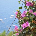 Italian Riviera 144