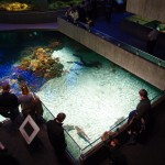 Baltimore Aquarium 2