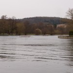 Henley Boat Races 2014