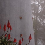 Sintra Pena National Palace