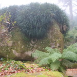 Sintra Pena Grounds