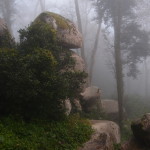 Sintra Pena Grounds