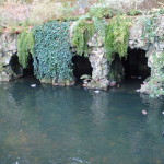 Sintra Quinta da Regaleira