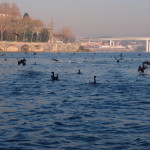 Porto Rio Douro