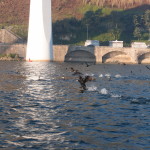 Porto Rio Douro