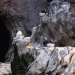 Lisbon Oceanario