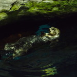 Lisbon Oceanario