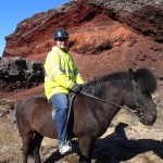 Iceland Horses