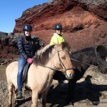 Iceland Horses