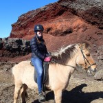 Iceland Horses