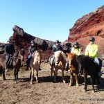 Iceland Horses