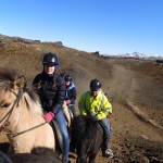 Iceland Horses