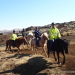 Iceland Horses