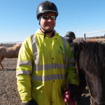 Iceland Horses