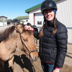 Iceland Horses