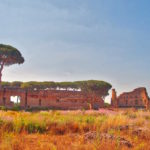 Roman Forum Area