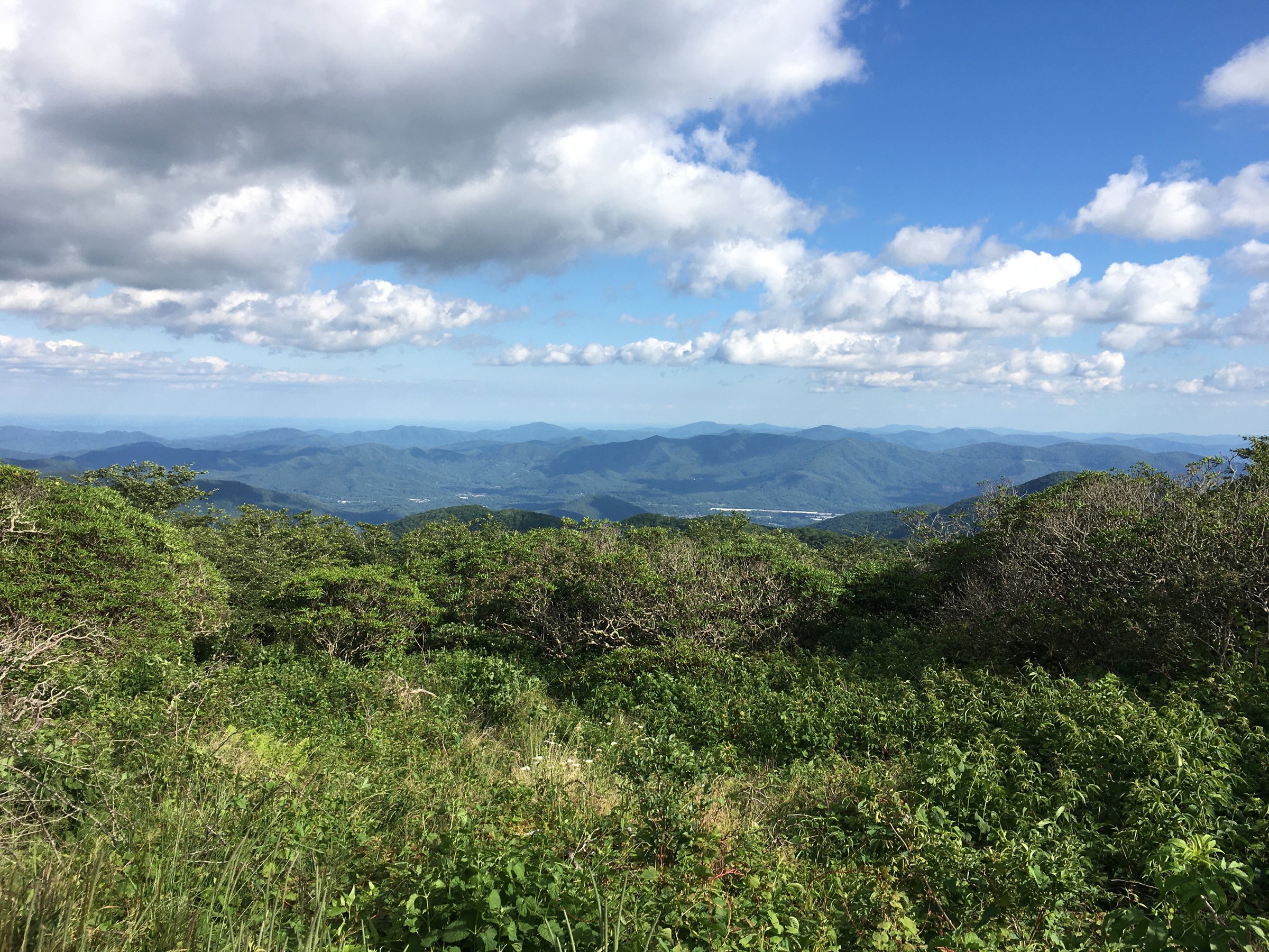 Blue Ridge 10